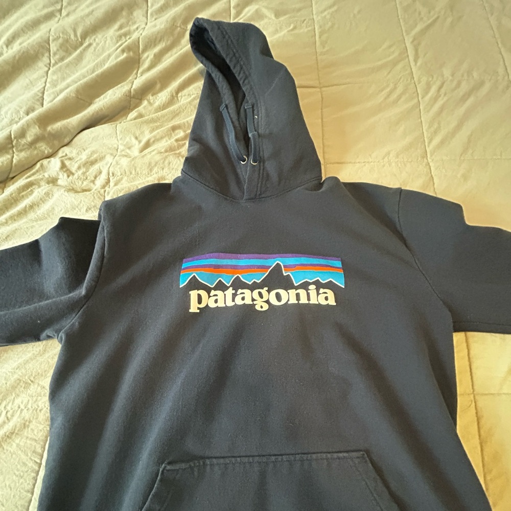 Patagonia hoodie
